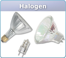 Halogen Bulbs